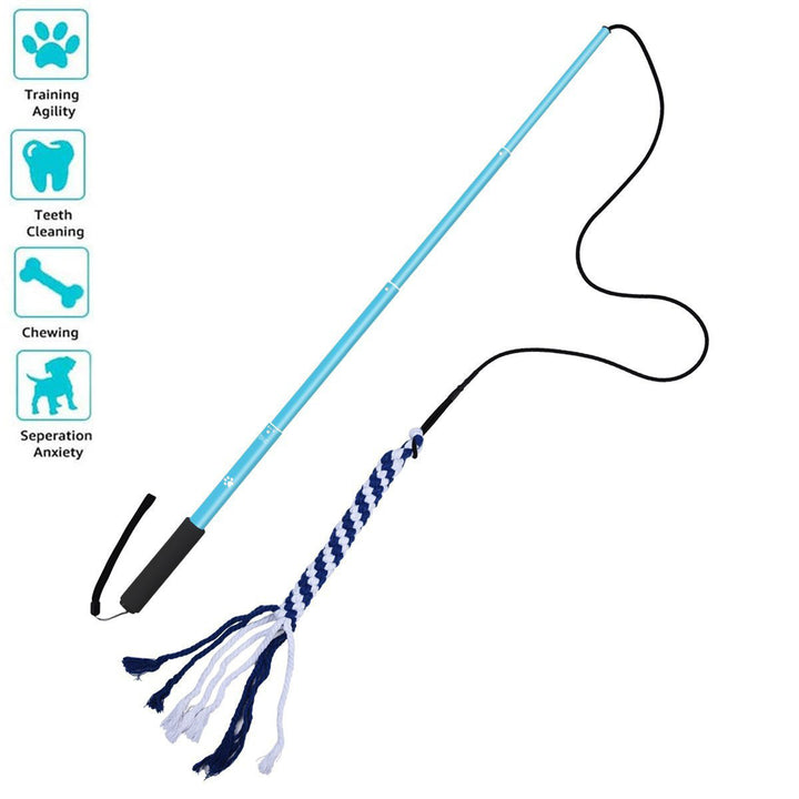 Explosive Style Retractable Dog Dog Walker