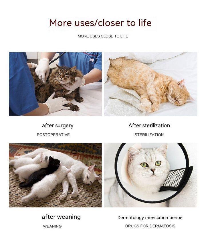 Cats Wearing Breathable And Breasted Clothes After Surgery