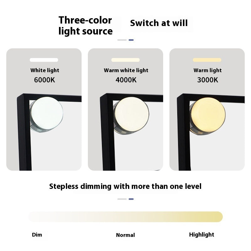Fill Light Mirror Desktop LED Light Rechargeable Dressing