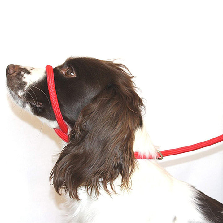 Pet Dog Mouth Leash Nylon Dog Walking